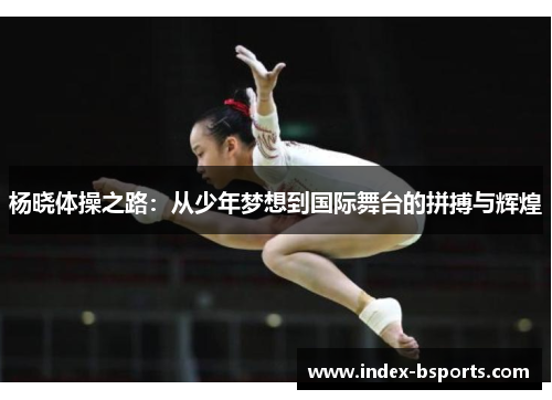 杨晓体操之路：从少年梦想到国际舞台的拼搏与辉煌