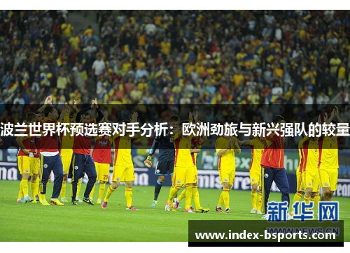 波兰世界杯预选赛对手分析：欧洲劲旅与新兴强队的较量