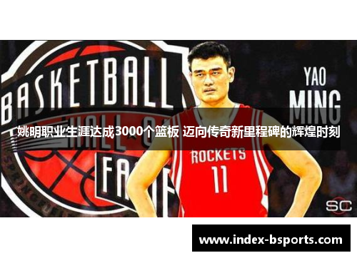 姚明职业生涯达成3000个篮板 迈向传奇新里程碑的辉煌时刻
