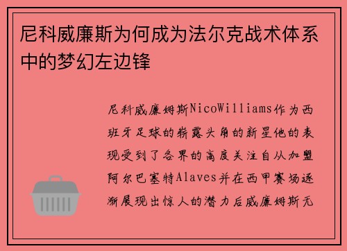 尼科威廉斯为何成为法尔克战术体系中的梦幻左边锋