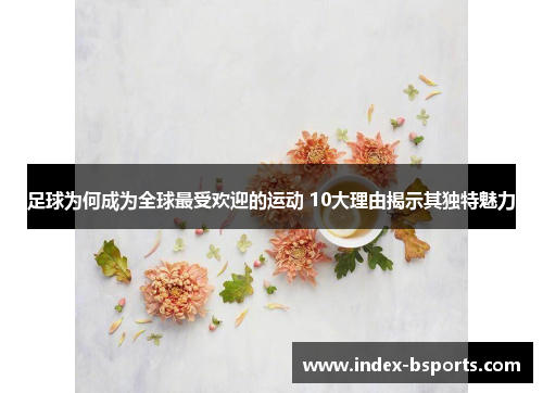 足球为何成为全球最受欢迎的运动 10大理由揭示其独特魅力