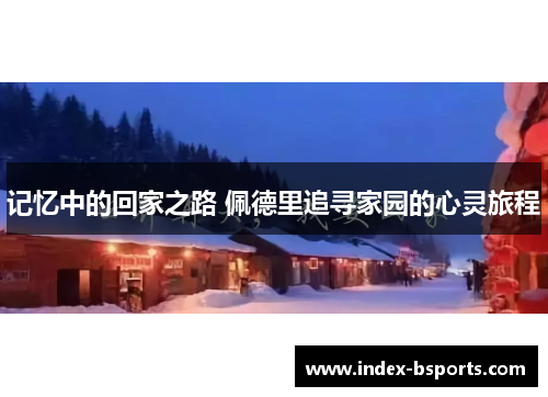 记忆中的回家之路 佩德里追寻家园的心灵旅程