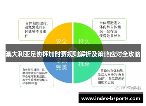 澳大利亚足协杯加时赛规则解析及策略应对全攻略